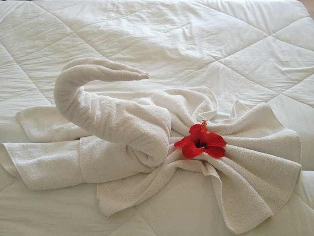 Hotel Aurora Скаури Екстериор снимка